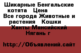 Шикарные Бенгальские котята › Цена ­ 25 000 - Все города Животные и растения » Кошки   . Ханты-Мансийский,Нягань г.